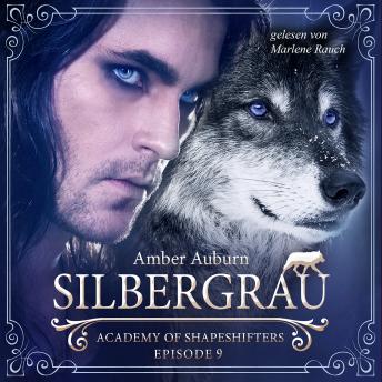 [German] - Silbergrau, Episode 9 - Fantasy-Serie: Academy of Shapeshifters