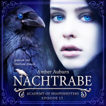 [German] - Nachtrabe, Episode 13 - Fantasy-Serie: Academy of Shapeshifters