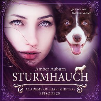 [German] - Sturmhauch, Episode 20 - Fantasy-Serie: Academy of Shapeshifters