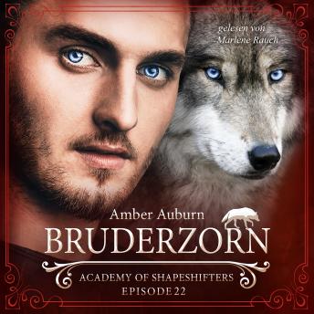 [German] - Bruderzorn, Episode 22 - Fantasy-Serie: Academy of Shapeshifters