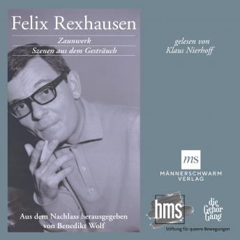 Download Zaunwerk: Szenen aus dem Gesträuch by Felix Rexhausen