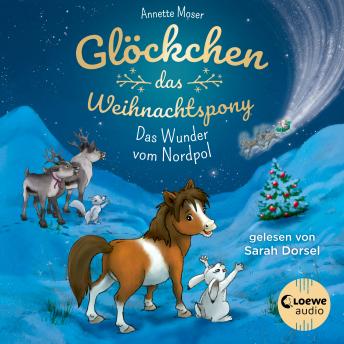 [German] - Glöckchen, das Weihnachtspony (Band 1) - Das Wunder vom Nordpol: Ein stimmungsvolles und humorvolles Weihnachts-Abenteuer für Kinder