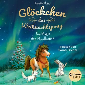 [German] - Glöckchen, das Weihnachtspony (Band 3) - Die Magie des Nordlichts: Ein stimmungsvolles und humorvolles Weihnachts-Abenteuer für Kinder