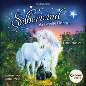 [German] - Silberwind, das weiße Einhorn (Band 7) - Das Einhornfohlen: Begleite das Einhorn Silberwind auf seinen Abenteuern