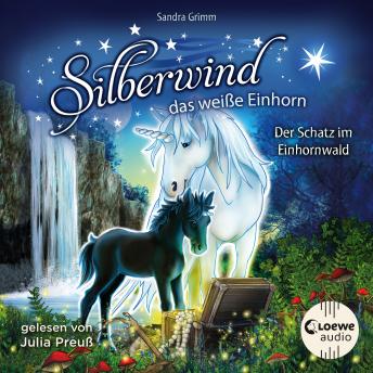 [German] - Silberwind, das weiße Einhorn (Band 8) - Der Schatz im Einhornwald: Begleite das Einhorn Silberwind auf seinen Abenteuern