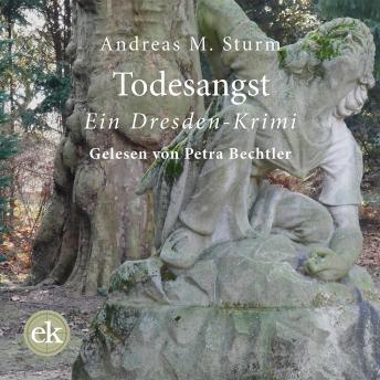 [German] - Todesangst: Kopfgeld für Karin Wolf. Ein Dresden-Krimi