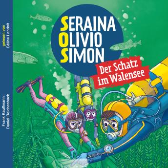 [German] - SOS Svalbard: Der Schatz im Walensee: Band 3