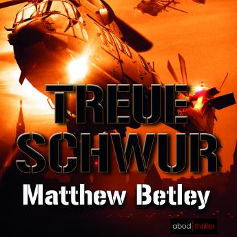 [German] - Treueschwur: Thriller