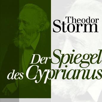 [German] - Der Spiegel des Cyprianus: Theodor Storm: Novellen
