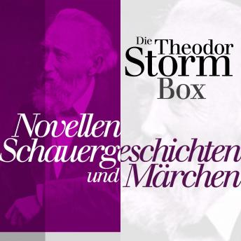 [German] - Novellen, Schauergeschichten und Märchen: Die Theodor Storm Box