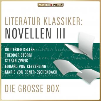 [German] - Literatur Klassiker: Novellen III: Die große Box