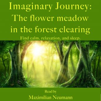 Imaginary Journey: The flower meadow in the forest clearing: Find calm, relaxation, and sleep. With relaxing music
