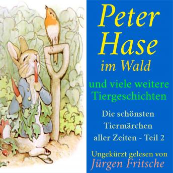 [German] - Peter Hase im Wald - und viele weitere Tiergeschichten: Die schönsten Tiermärchen aller Zeiten - Teil 2