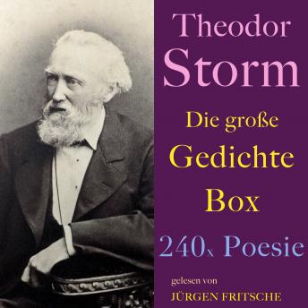 [German] - Theodor Storm: Die große Gedichte Box: 240 x Poesie