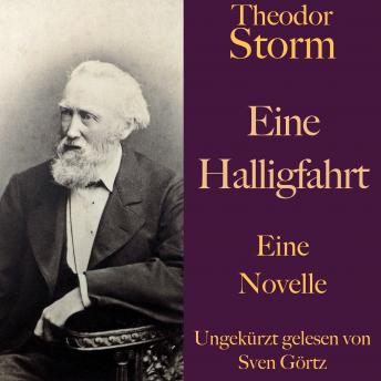 [German] - Theodor Storm: Eine Halligfahrt: Eine Novelle. Ungekürzt gelesen.