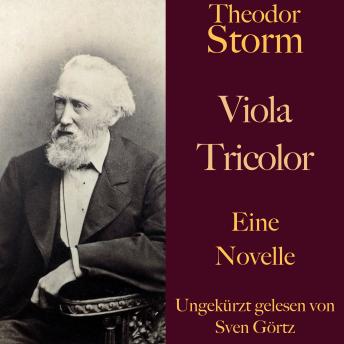 [German] - Theodor Storm: Viola Tricolor: Eine Novelle. Ungekürzt gelesen.