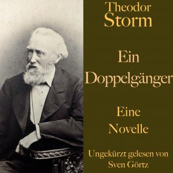 [German] - Theodor Storm: Ein Doppelgänger: Eine Novelle. Ungekürzt gelesen.