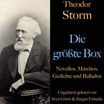 [German] - Theodor Storm: Die größte Box: Novellen, Märchen, Gedichte und Balladen