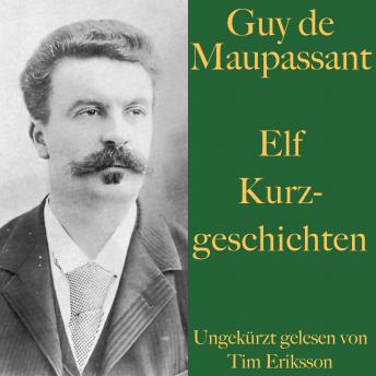 [German] - Guy de Maupassant: Elf Kurzgeschichten: Am Frühlingsabend, Das Bild, Die Fliege, Die Maske, Vater Milon u.v.m.