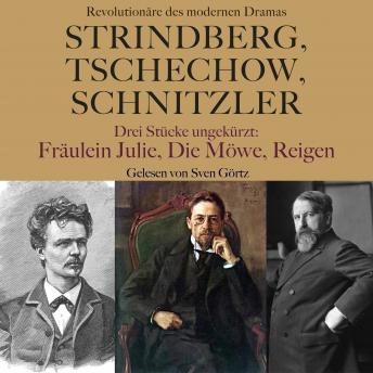 [German] - Strindberg, Tschechow, Schnitzler – Revolutionäre des modernen Dramas: Drei Stücke ungekürzt: Fräulein Julie, Die Möwe, Reigen