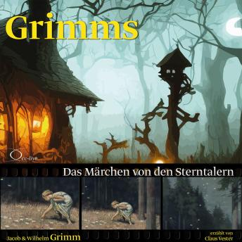 [German] - Das Märchen von den Sterntalern