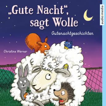 Download 'Gute Nacht', sagt Wolle: Gutenachtgeschichten by Christine Werner