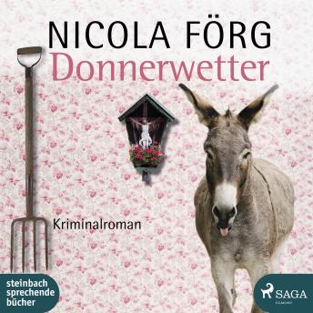 [German] - Donnerwetter - Ein Allgäu-Krimi: ADAC Edition