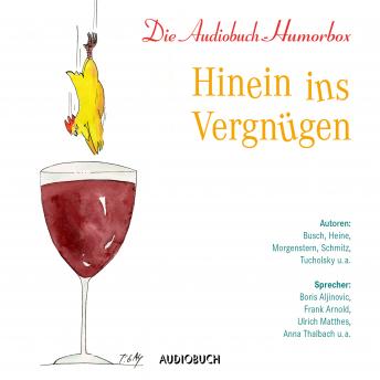 Hinein ins Vergnügen, Audio book by Morgenstern , Tucholsky , Schmitz 