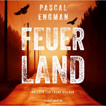 Feuerland - Vanessa Frank-Thriller 1 (Gekürzt)