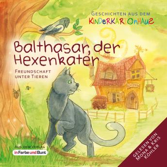 [German] - Balthasar, der Hexenkater - Freundschaft unter Tieren: Fantasy-Kinder-Tiergeschichten als Hörbuch