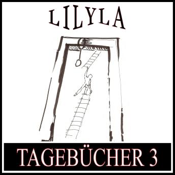[German] - Tagebücher 3: Tagebücher1914, 1916, 1917-1923