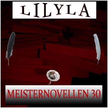 [German] - Meisternovellen 30