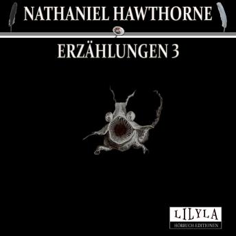 [German] - Erzählungen 3: Der graue Streiter, Der Teufel des Schreibens, Endicott und das rote Kreuz.