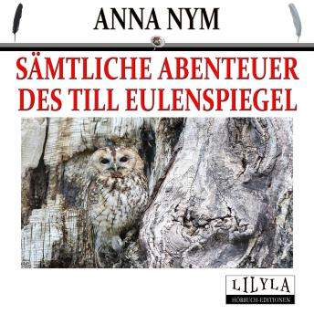 [German] - Sämtliche Abenteuer des Till Eulenspiegel