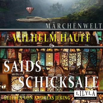 [German] - Saids Schicksale