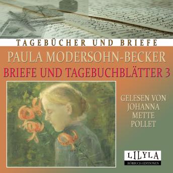 [German] - Briefe und Tagebuchblätter 3: Herausgegeben und biographisch eingeführt von S. D. Gallwitz, Kurt Wolff Verlag A.-G. Berlin, 1920