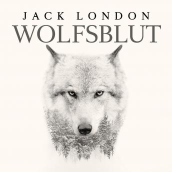 [German] - Wolfsblut von Jack London: Gelesen von Matthias Ernst Holzmann, Bearbeitung: Thomas Tippner