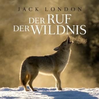 [German] - Der Ruf der Wildnis: Gelesen von Matthias Ernst Holzmann, Bearbeitung: Thomas Tippner