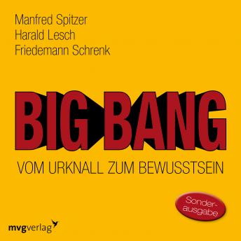 [German] - Big Bang: Vom Urknall zum Bewusstsein