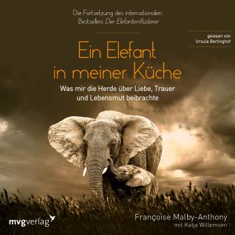 [German] - Ein Elefant in meiner Küche: Was mir die Herde über Liebe, Trauer und Lebensmut beibrachte