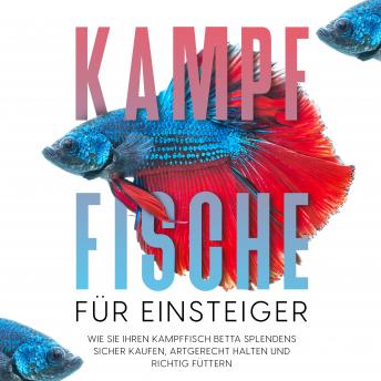 [German] - Kampffische für Einsteiger: Wie Sie Ihren Kampffisch Betta splendens sicher kaufen, artgerecht halten und richtig füttern