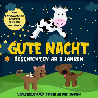 Download Gute Nacht Geschichten ab 3 Jahren: Tolle Kindergeschichten zum Lernen, Einschlafen und Träumen: Hörbuch für Kinder ab drei Jahren by Lena Daenekas