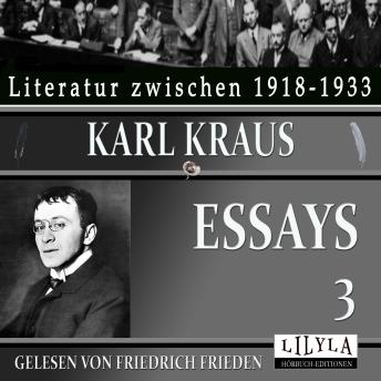 [German] - Essays 3: Endlich, der kleine Brockhaus, Druckfehlerteufel, Werkstatt, Erstens und Zweitens u.a.