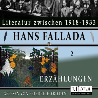 [German] - Erzählungen 2: Die offene Tür, Fröhlichkeit und Traurigkeit, Der Fliegenpriester, Mit Metermaß und Gießkanne.