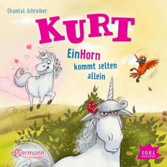 [German] - Kurt 2. EinHorn kommt selten allein