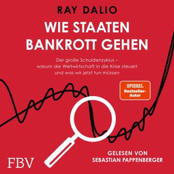 [German] - Wie Staaten bankrott gehen: Der große Schuldenzyklus – warum die Weltwirtschaft in die Krise steuert und was wir jetzt tun müssen | SPIEGEL-Bestseller-Autor und Investmentlegende