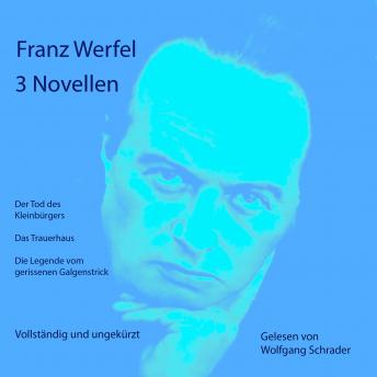 Download 3 Novellen: vollständig und ungekürzt by Franz Werfel