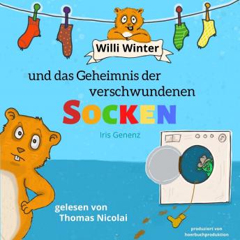 [German] - Willi Winter und das Geheimnis der verschwundenen Socken