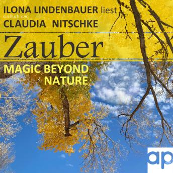 [German] - Zauber: Magic beyond Nature