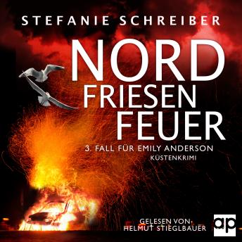 [German] - Nordfriesenfeuer: 3. Fall für Emily Anderson